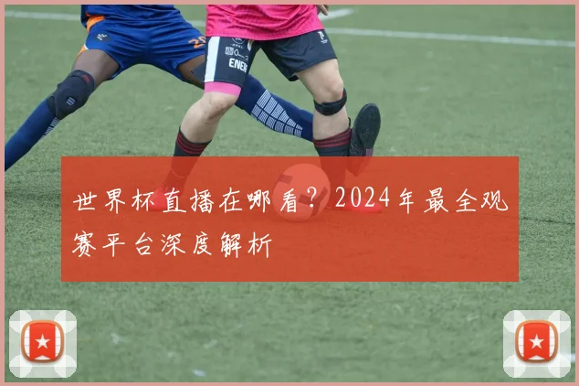 世界杯直播在哪看？2024年最全观赛平台深度解析