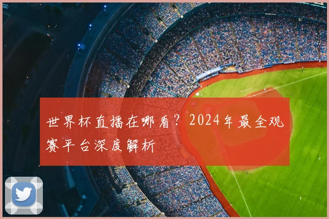 世界杯直播在哪看？2024年最全观赛平台深度解析