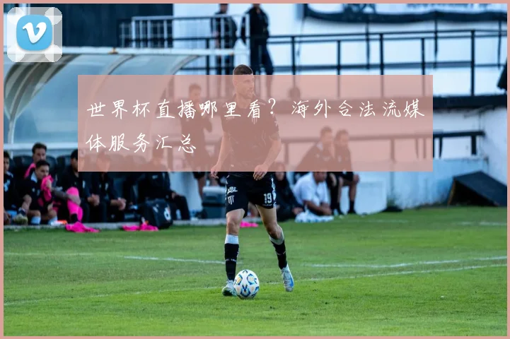 世界杯直播哪里看？海外合法流媒体服务汇总