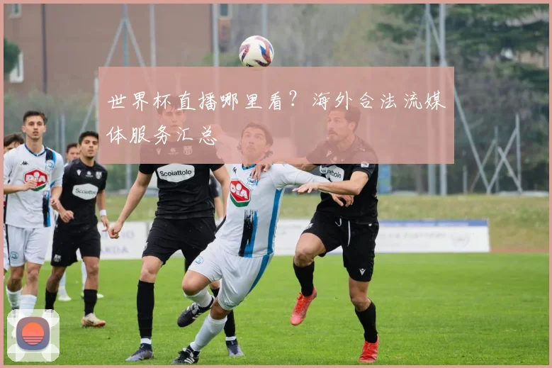 世界杯直播哪里看？海外合法流媒体服务汇总