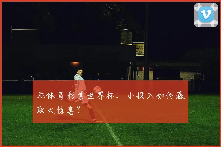 元体育彩票世界杯：小投入如何赢取大惊喜？