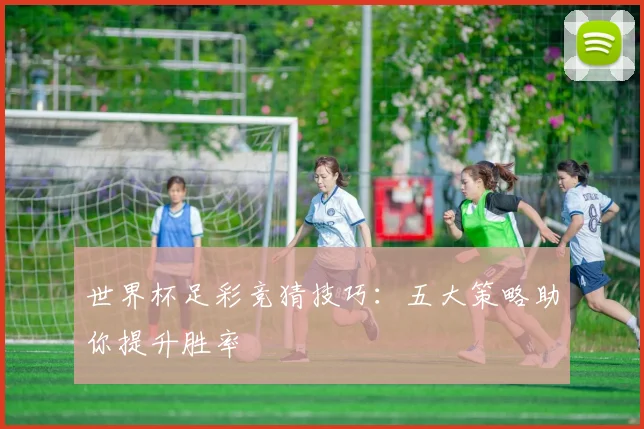 世界杯足彩竞猜技巧：五大策略助你提升胜率