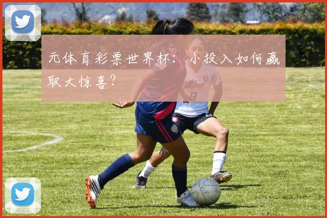 元体育彩票世界杯：小投入如何赢取大惊喜？