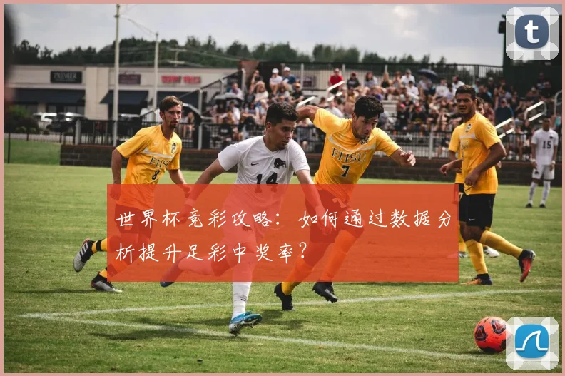 世界杯竞彩攻略：如何通过数据分析提升足彩中奖率？