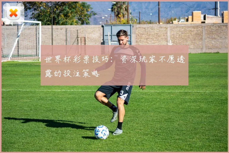 世界杯彩票技巧：资深玩家不愿透露的投注策略